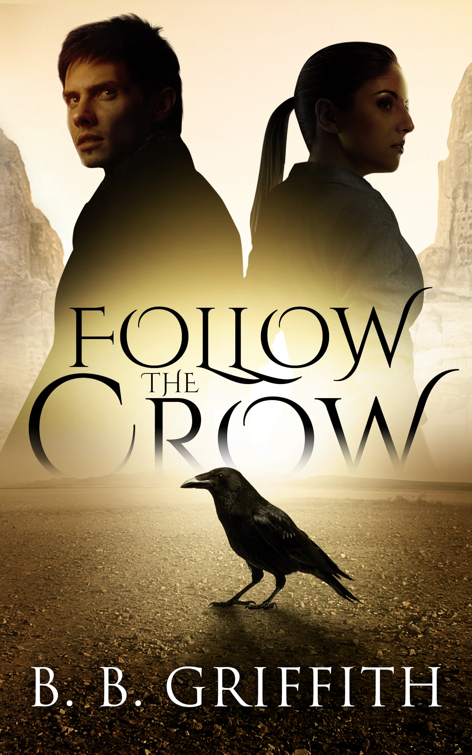 Follow the Crow ebook cover